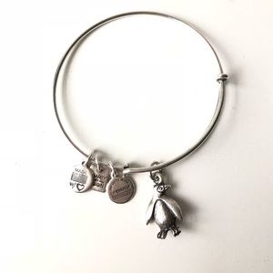 Alex and Ani Penguin Charity Bracelet